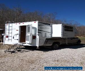 2011 Palomino LM 1000 for Sale