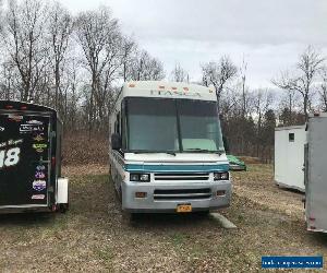 1995 Winnebago for Sale