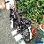 MOPED JAWA COLLECTERS  for Sale