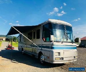 1995 Winnebago Luxor