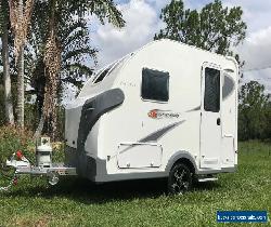 NEW 2020 WILD BOAR CARAVAN ROAD TROTTER SERIES LIGHT WEIGHT 3.1 MT for Sale