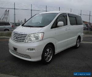 Toyota Alphard Campervan 