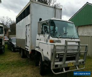 Isuzu 1984 SBR Horse livestock truck.. 6BD1 Diesel!