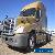 2012 Freightliner CASCADIA 125 for Sale