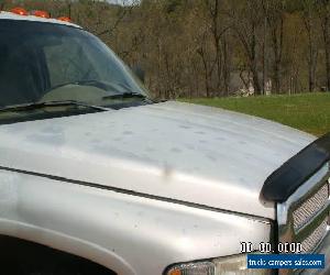 1999 Dodge SLT Laramie 2 Wheel Drive