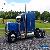 2004 Peterbilt 379 for Sale