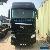 MAN TGX for Sale