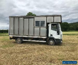 eurocargo horsebox 