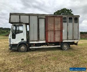 eurocargo horsebox 