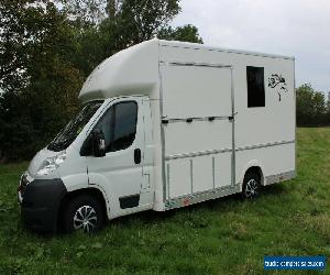 HORSEBOX 2013 CITROEN RELAY 3.5T CARRY 2 X LARGE HORSES for Sale