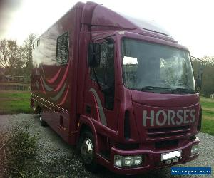 Iveco Eurocargo 7.5t Horsebox for Sale