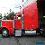 1999 Peterbilt 379 for Sale