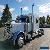 2007 Peterbilt 379 for Sale