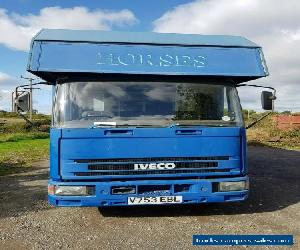 Horse Lorry IVECO 1999 Side Load