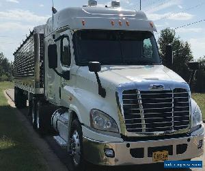 2013 Freightliner CASCADIA 125