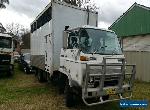 Isuzu 1984 SBR Horse livestock truck.. Car carrier 6BD1 Diesel!  for Sale