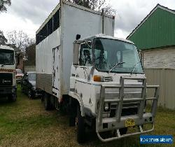 Isuzu 1984 SBR Horse livestock truck.. Car carrier 6BD1 Diesel!  for Sale