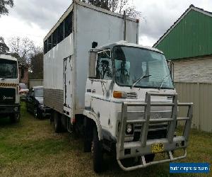 Isuzu 1984 SBR Horse livestock truck.. Car carrier 6BD1 Diesel! 