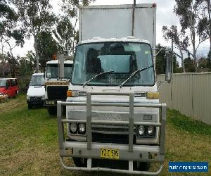 Isuzu 1984 SBR Horse livestock truck.. Car carrier 6BD1 Diesel! 