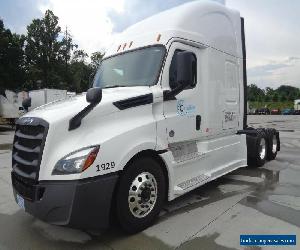 2019 Freightliner for Sale