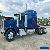 2006 Peterbilt for Sale