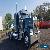 1994 Kenworth W900 for Sale