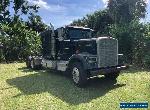 1987 Kenworth W900 for Sale