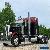 2008 Peterbilt 389 for Sale