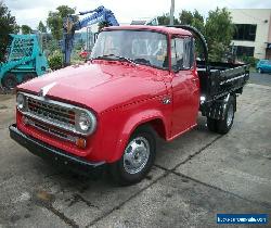 INTERNATIONAL C1300 WB129 SERIES TRAY TRUCK - RESTORED for Sale