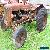 Fordson Major Diesel and Fordson Major E27N Petrol for Sale