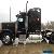 2007 Peterbilt 379 for Sale